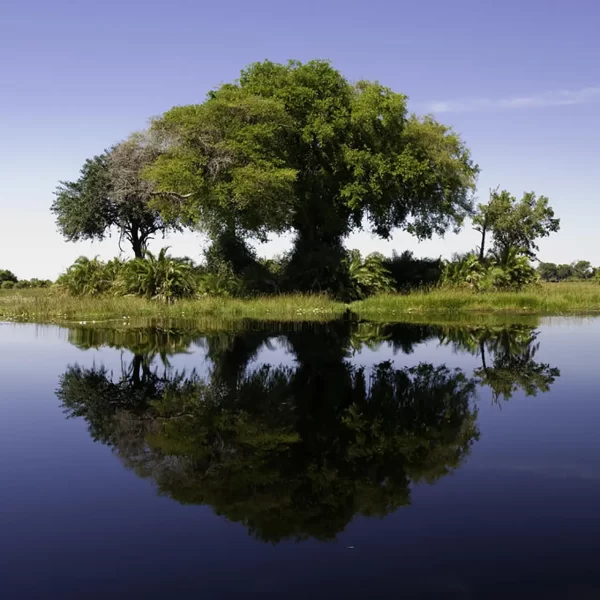 LSS-Kenya-xigera-mokoro-06