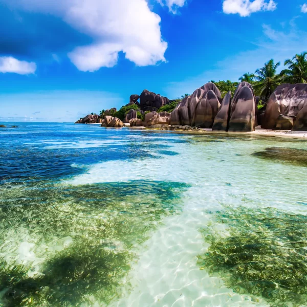 luxuryshortsafari-seychelles-02