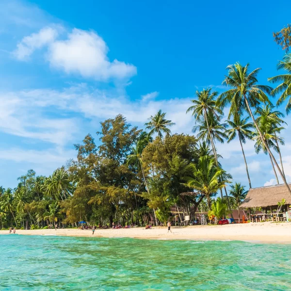 luxuryshortsafari-seychelles-05