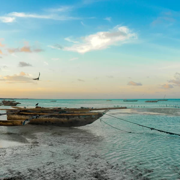 luxuryshortsafari-zanzibar-01