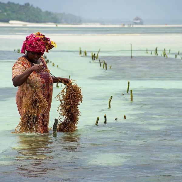 luxuryshortsafari-zanzibar-04